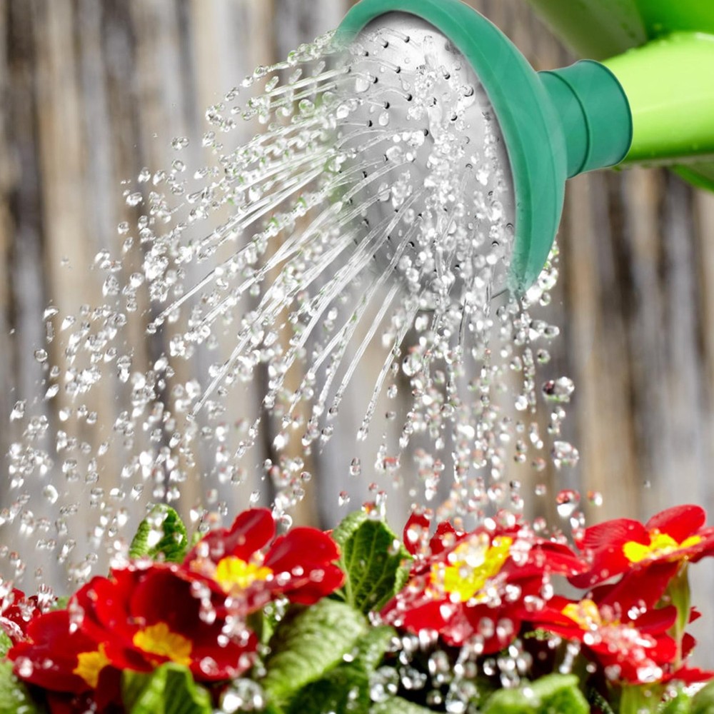 2pcs Replacement Sprinkler Head Spray Spout for Watering Can