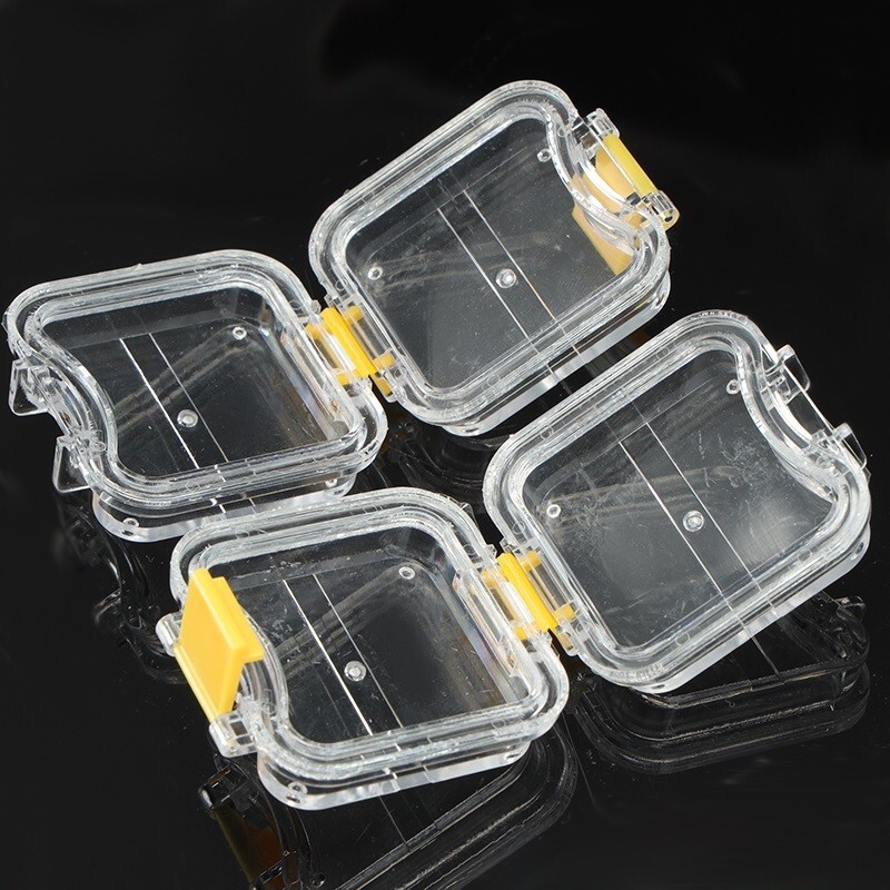 20Pcs Denture False Teeth Membrane Case Container Hinged Display Box Jewelry USA