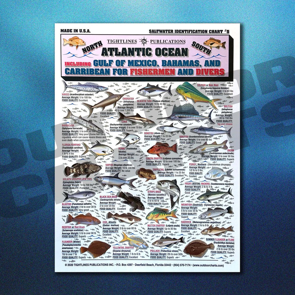 Saltwater Chart Set