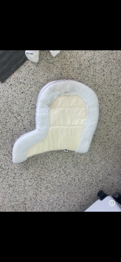 Hunter/ equitation pad