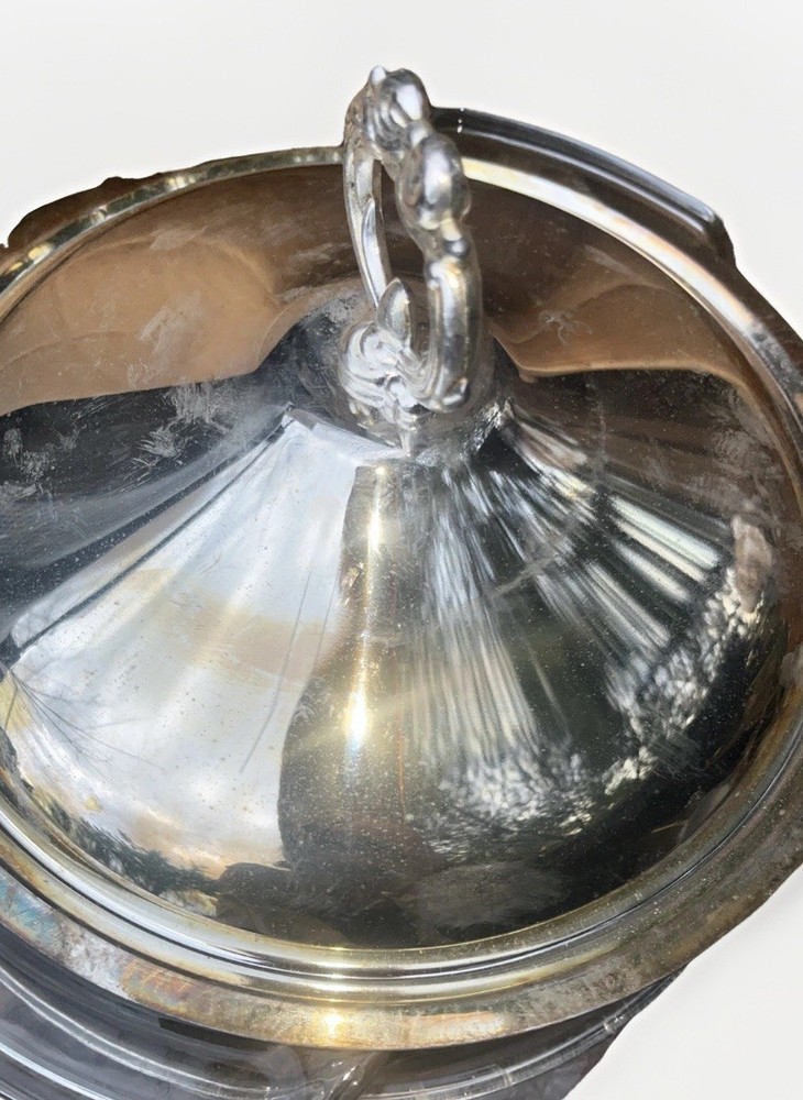 International Silver Company Silver Plated Duo- Server Includes Removable 2qt