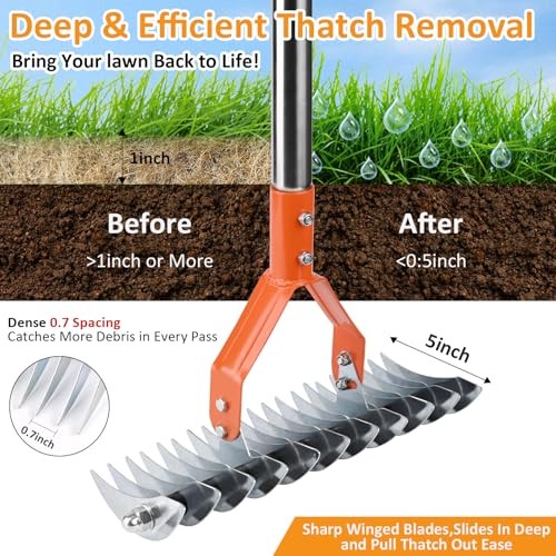 Thatch Rake -15 Inch Dethatcher Rake with Adjustable Handle, Efficient Steel