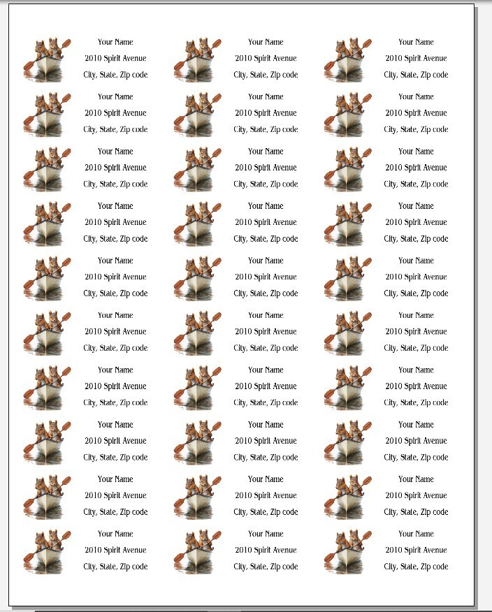 150 Squirrels in a Canoe Mailing Return Address Labels Personalized
