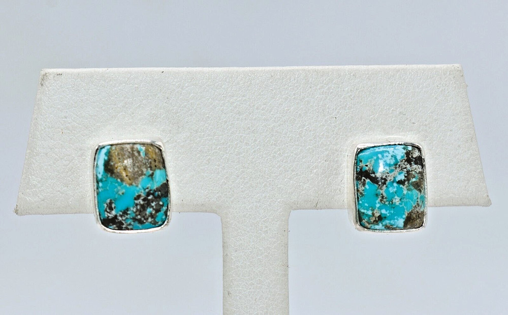 Campo Frio Turquoise Sterling Silver Rectangular Earrings by Ryan Schoolfield