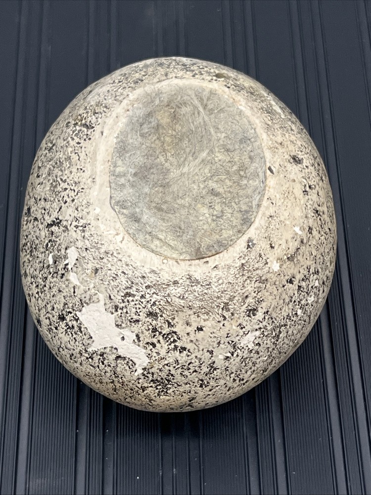 1994 Windstone Edition 94 Pena - Hatching Stone Egg