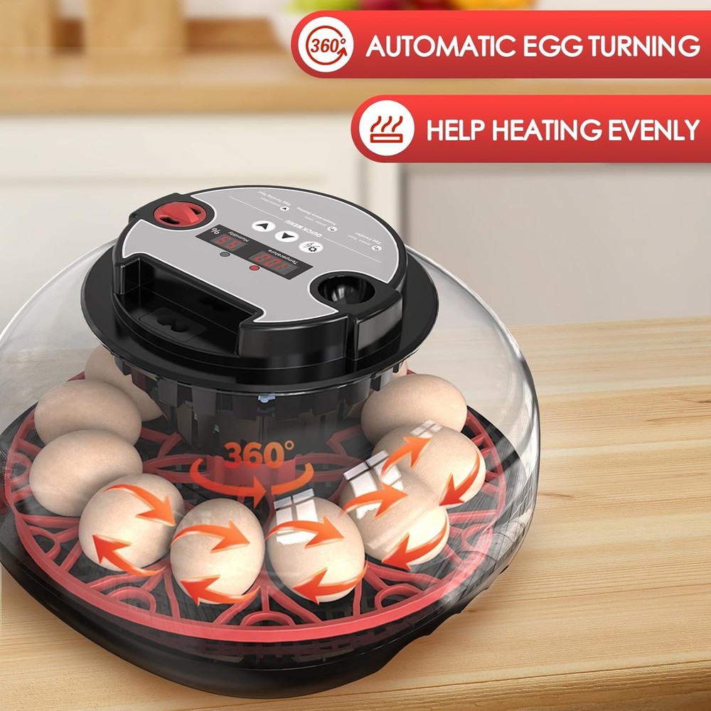 Automatic Chicken Incubator with Temperature Humidity Control for Hatching Eggs