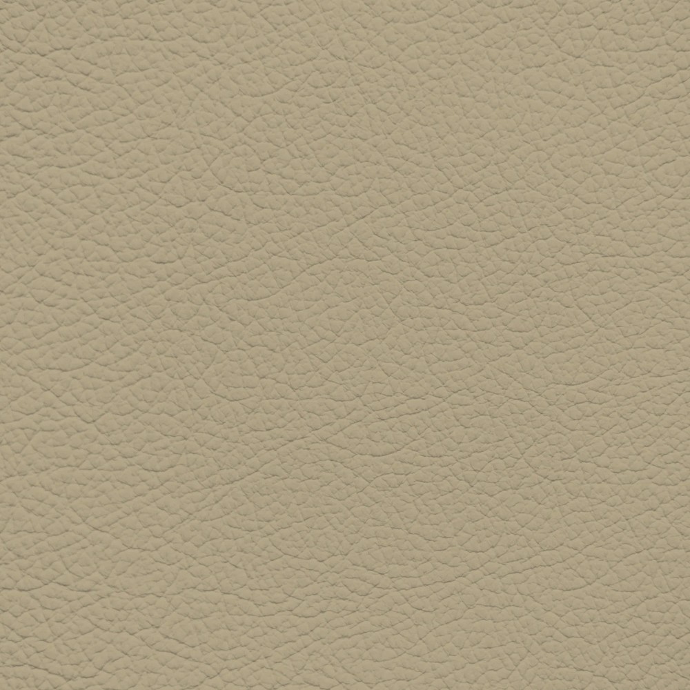 Jaguar Doeskin Leather Dye