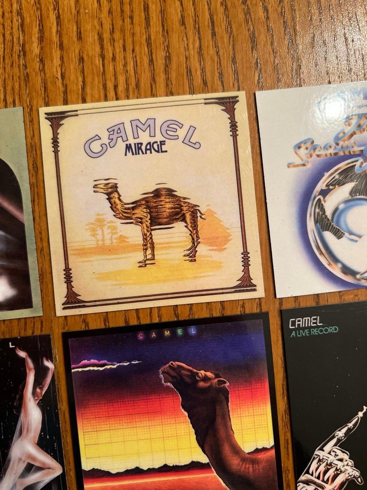 Camel fridge magnets