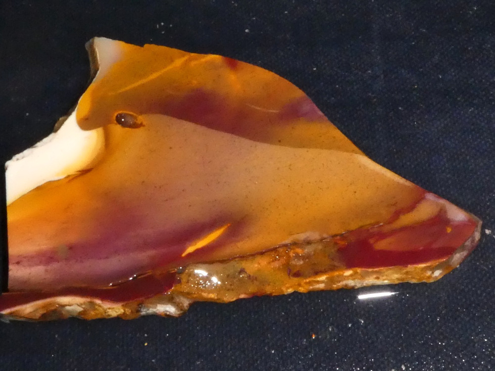 MOOKAITE JASPER- 3 3/4 " x 2 5/8 " rough, cabbing - display , science