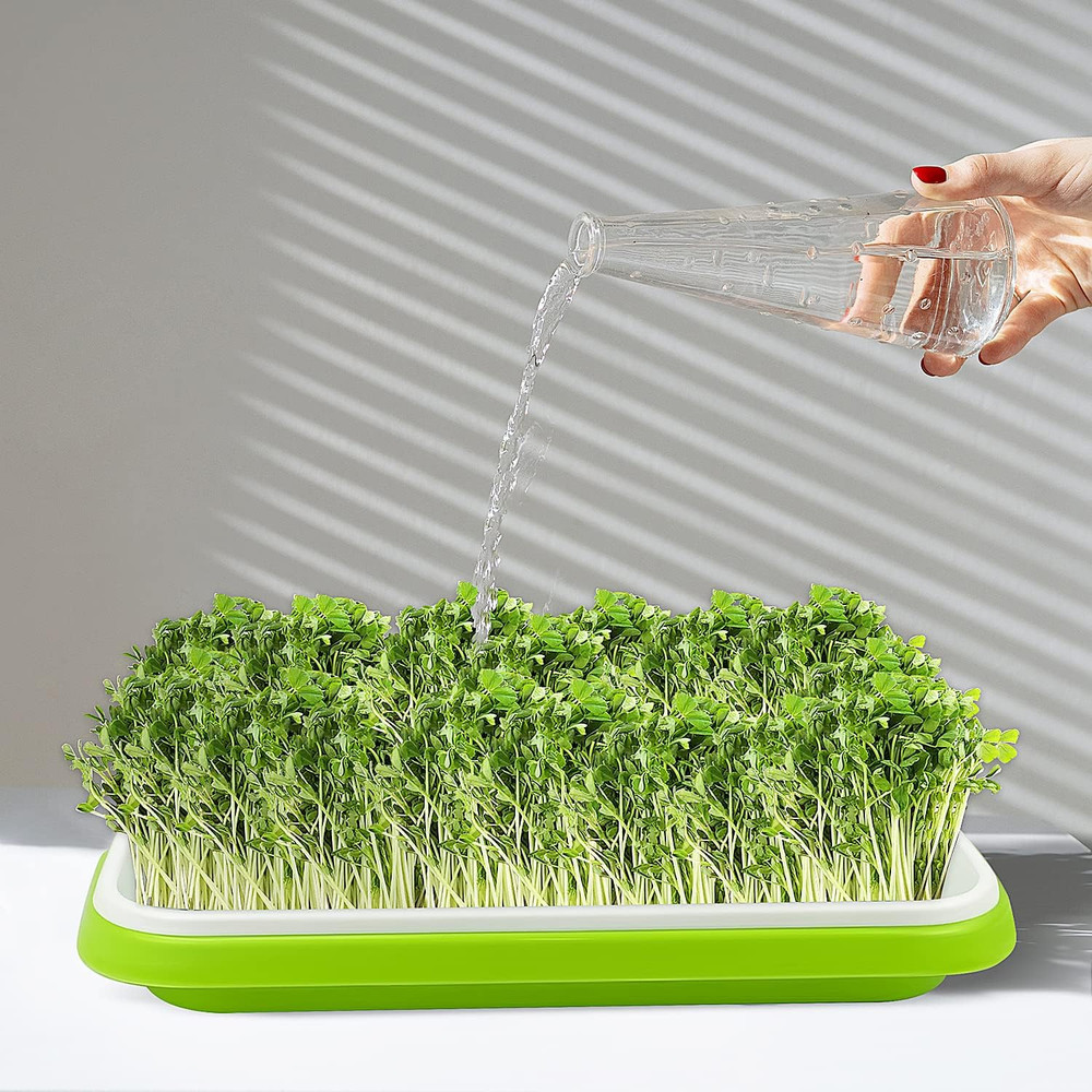 Seed Sprouting Tray 10 Packs Microgreens Growing Trays Big Capacity Sprouts