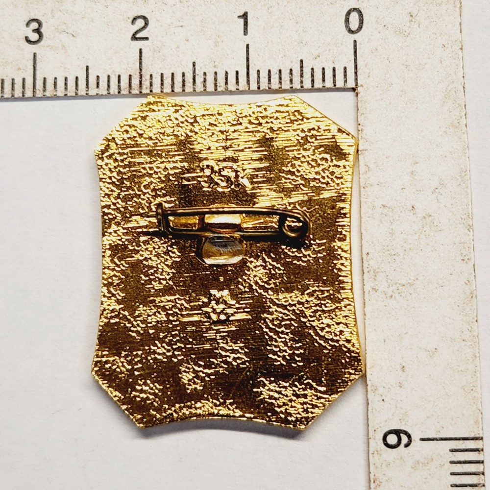 Vintage Russian Pin. A11.