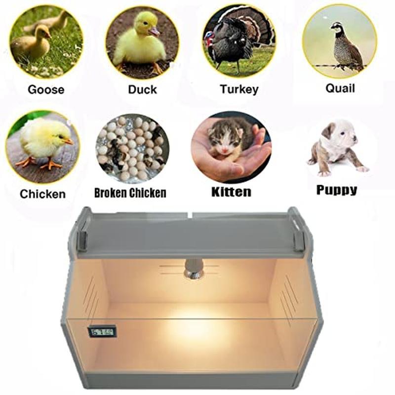 Intelligent Brooder Box Chicks Quail Birds Manual Incubator Heating Display New