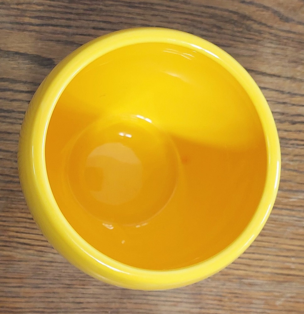 Teleflora 5 inch "Bee Well Soon" Yellow Planter