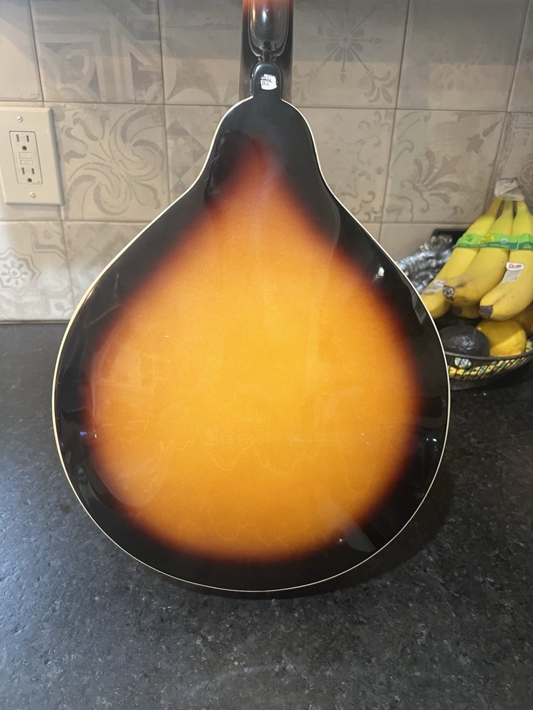 Rogue fine instuments Mandolin