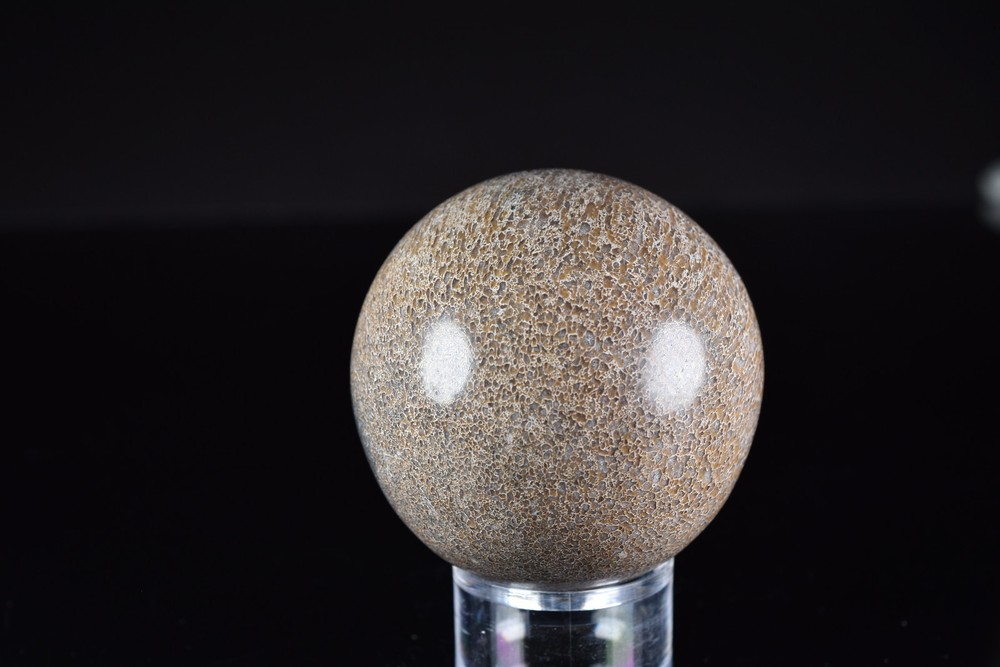 Dinosaur Bone Sphere from Morocco 7.6 cm # 20121