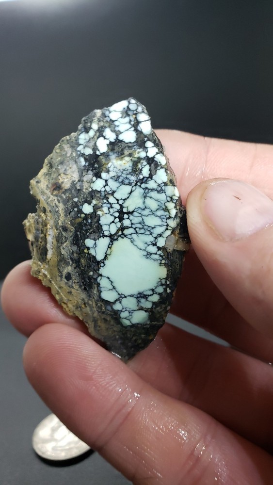 Nevada Polychrome Gecko Variscite Slab