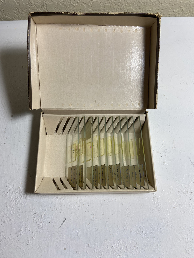 Vintage Sears Prepared Microscope Slides box - category Plants - includes 10