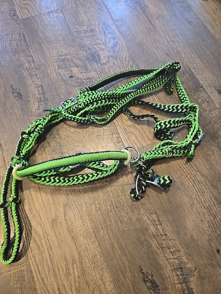 Bitless Bridle