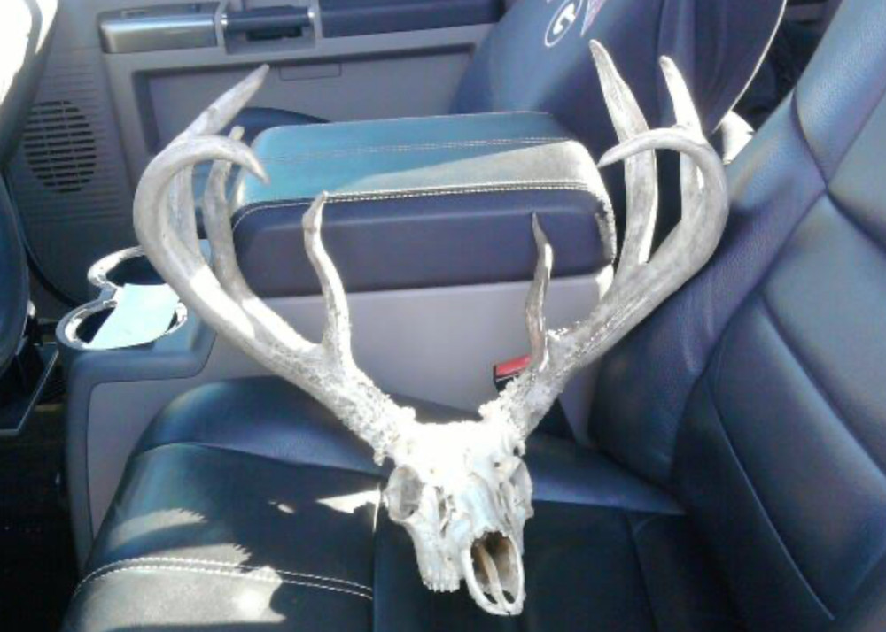 Deer Antler Magic antler coloring system 1 pound