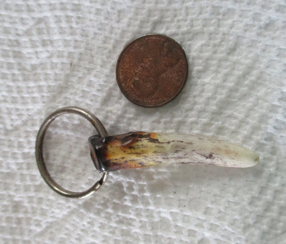 Polished Antler Keychain