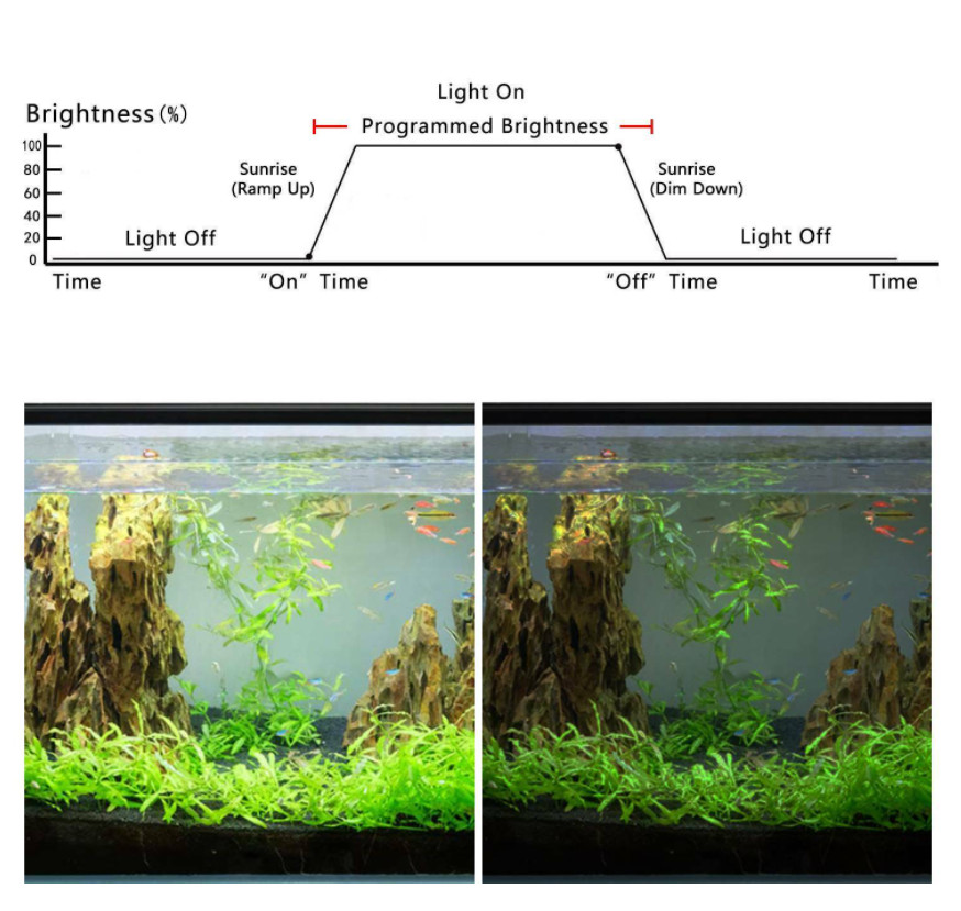 Aquarium Light LED Dimmer Timer Controller Fish Tank Sunrise Sunset Modulator AU