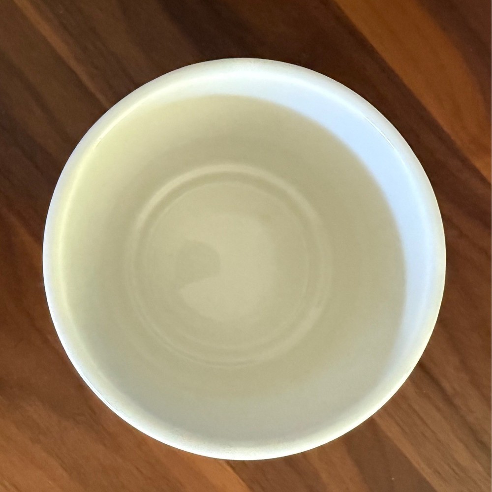 CB2 White Textured Ceramic Planter Pot – Modern Minimalist 5"