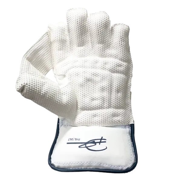 SS COLT Wicket Keeping Gloves