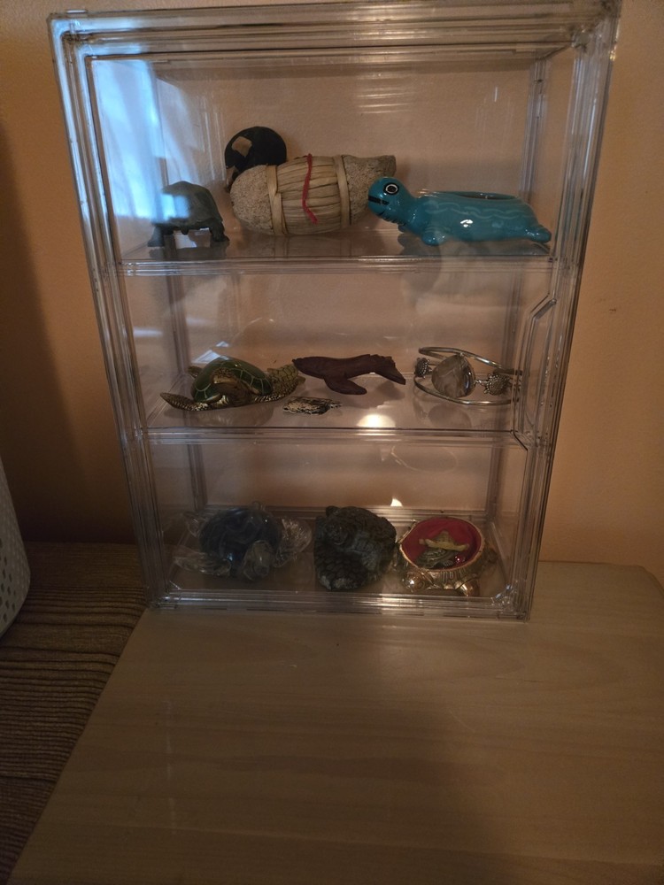 Acrylic Display Case REPLACEMENT PARTS 2 Sides, 1 Top? 1 Bottom?