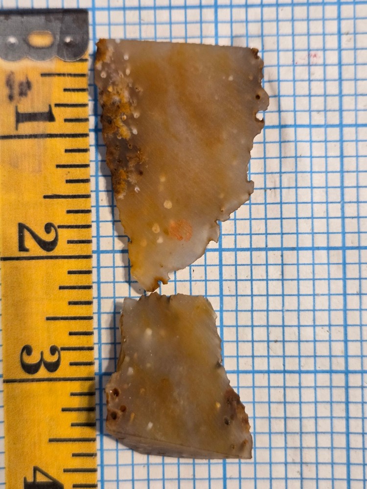 Agatized Palm Slab