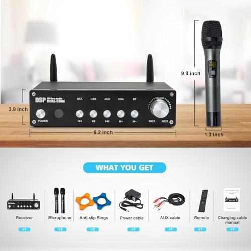 UHF Wireless Microphone System, Cordless Karaoke Microphone System with 2
