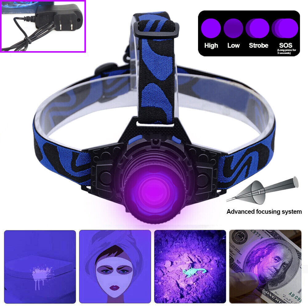 Blacklight UV LED Headlamp Flashlight Head Light+Build-in Rechargeable Battery