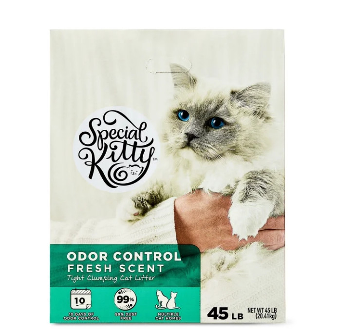 (2 pack) Special Kitty Clumping Clay Cat Litter, Fresh Scent, 45 lbs Box