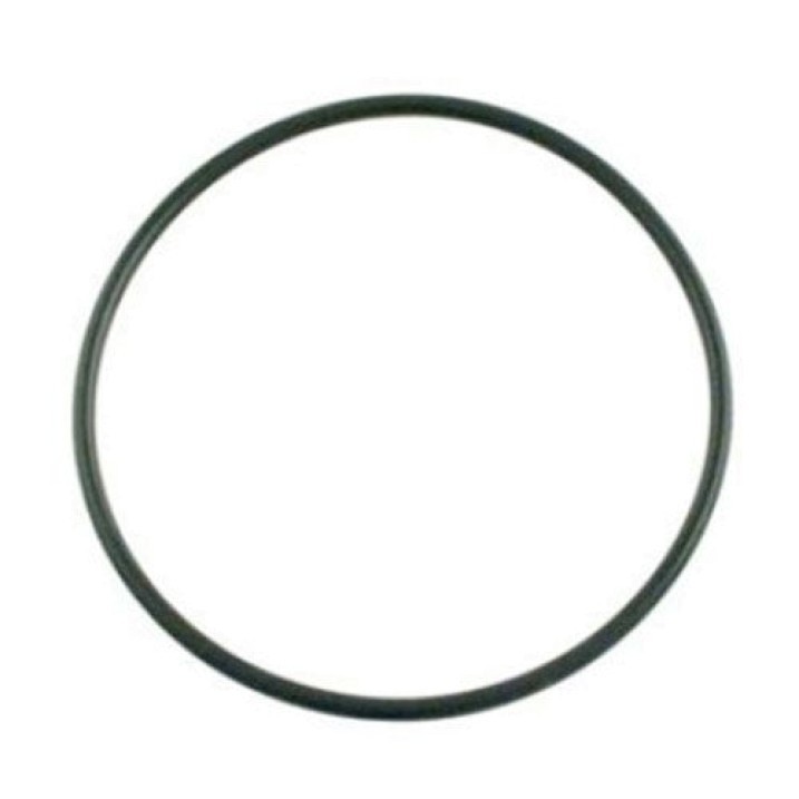Hayward GMX600F Filter Tank O-Ring
