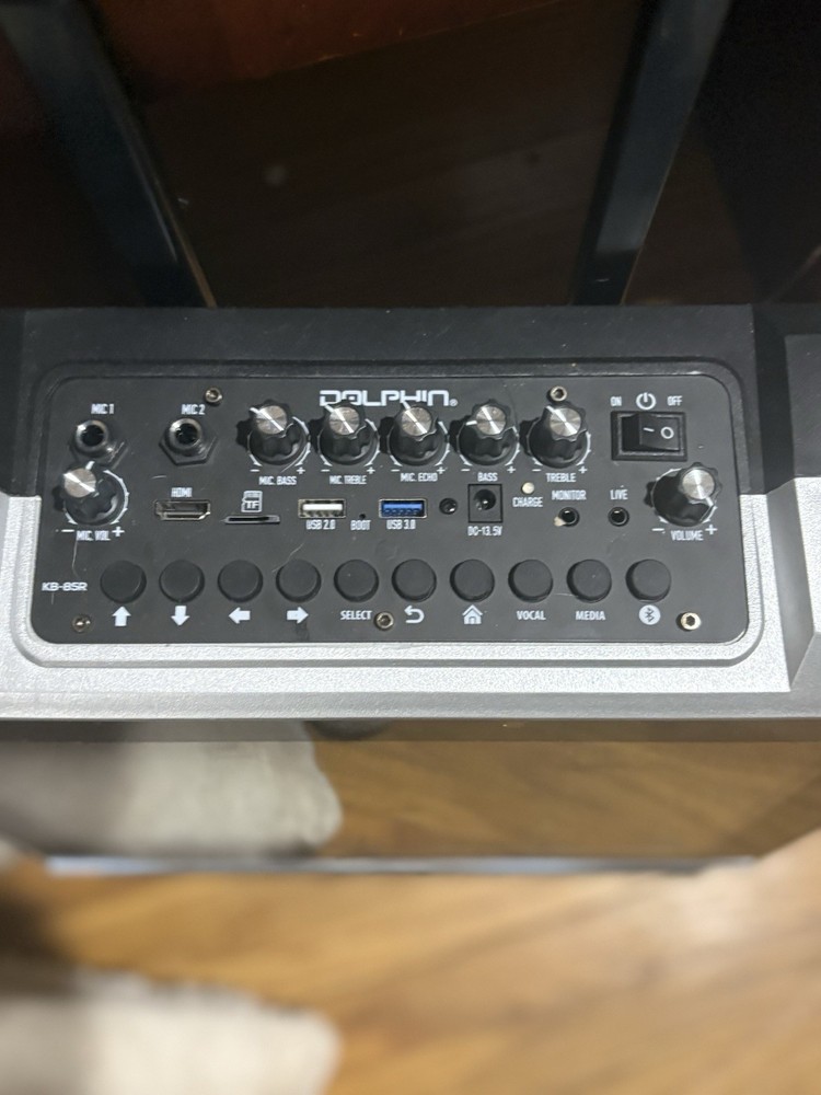 Dolphin Karaoke Machine