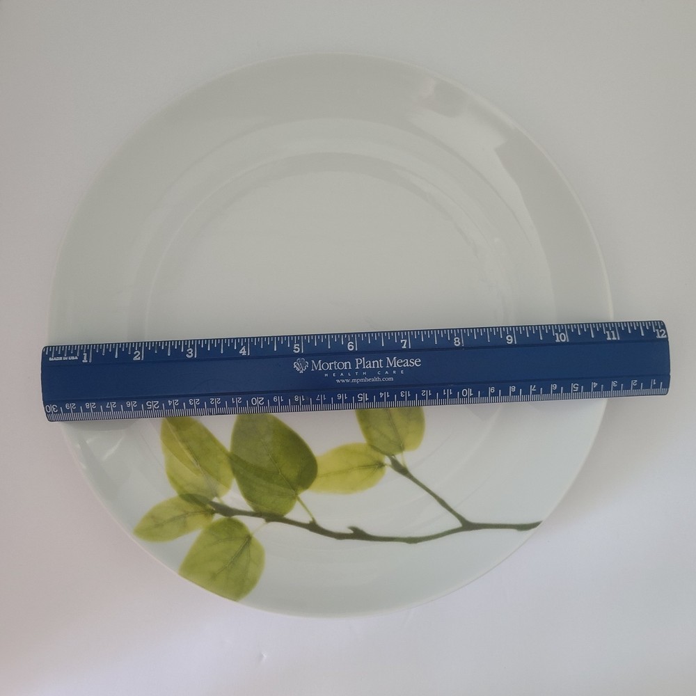 Mikasa ~ Daylight ~ 11" Dinner Plate READ