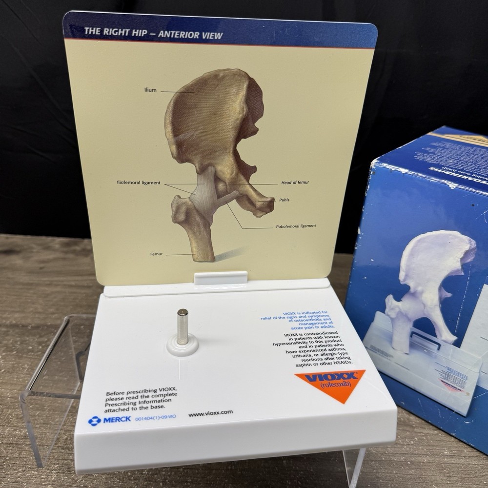Merck Vioxx Hip Model Anatomic Hip Display Model Original Box