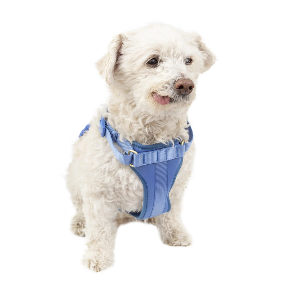 Vibrant Life Polyester Plain Walking Dog Harness Blue Size Small