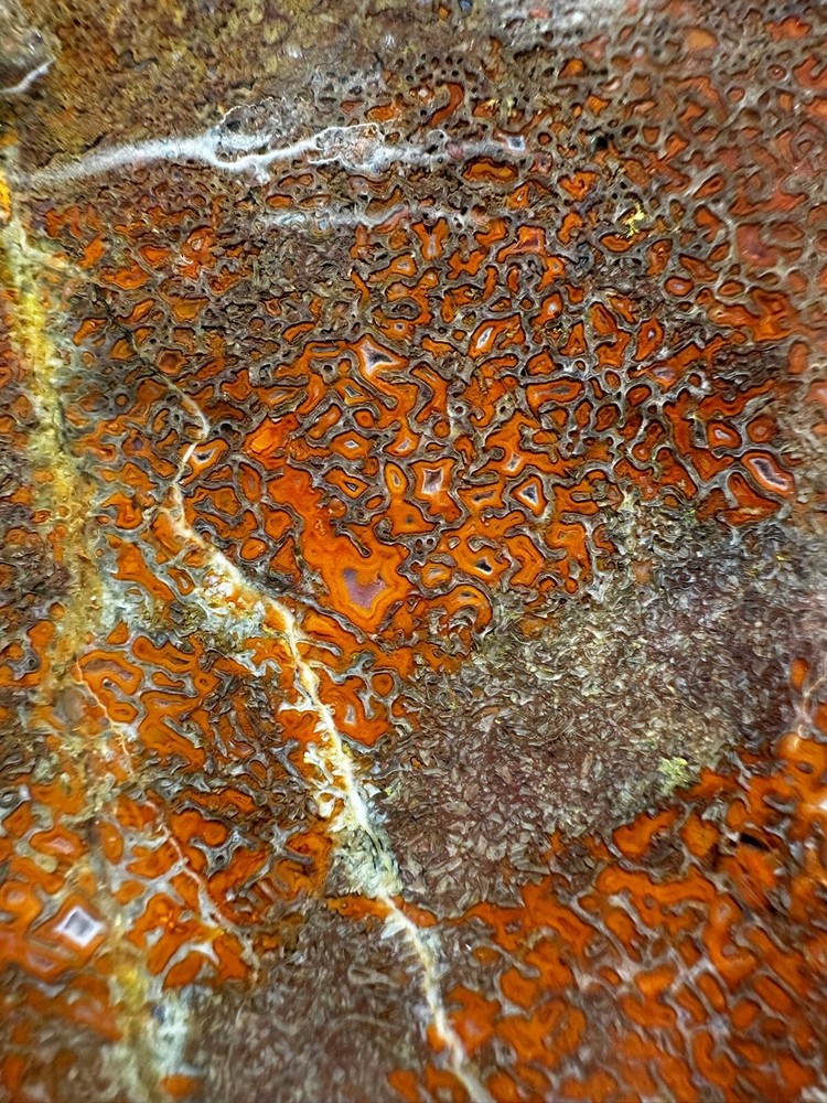 Dinosaur bone rough **hxtled large slab.