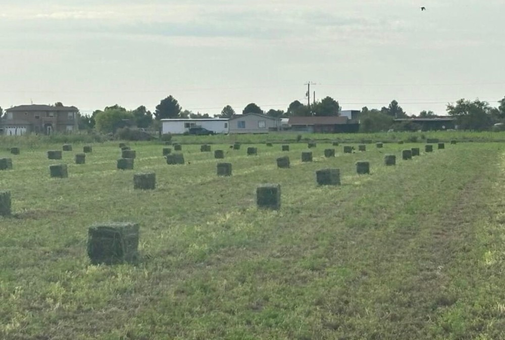 Hay bells: 59-62 LBS / 78-80 LBS