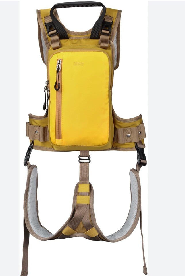 SKI SNOWBOARD Bag For Kids
