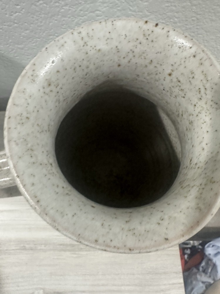 Ceramic Speckled Botanical Pitcher Blue Beige Glossy Pottery Handle 11 Inch