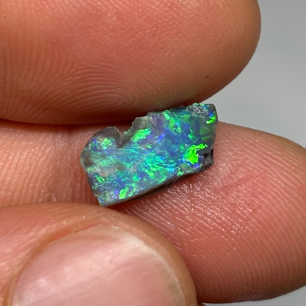 Astonishing Black Australian Lightning Ridge Rough Opal Rub