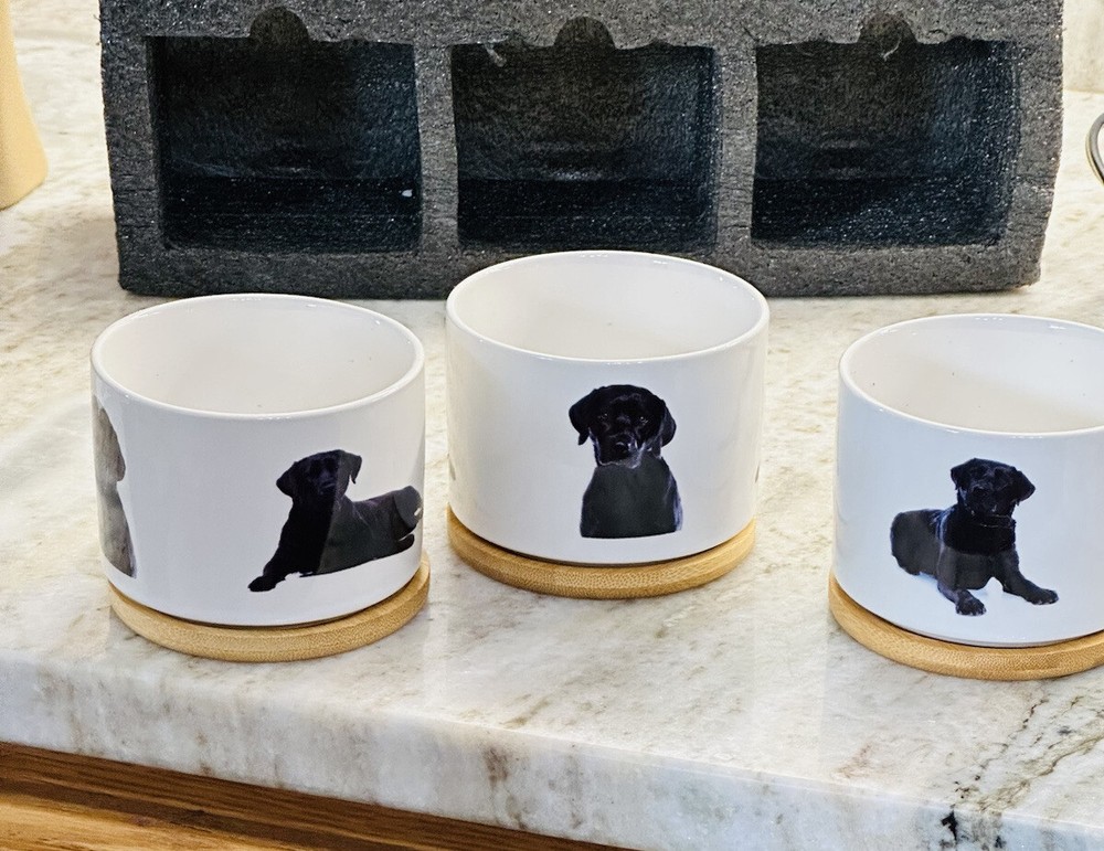 Set Of Tree Labrador Planters-Open Box-ceramic-Open Box/No Original Box