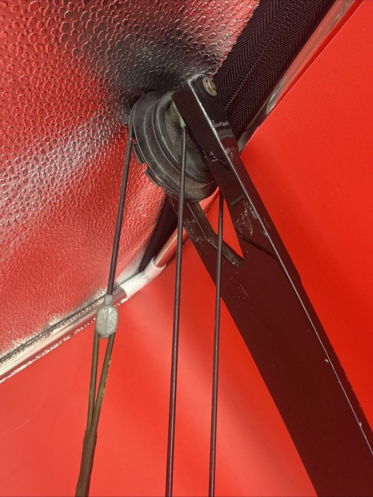 Bear Kodak Magnum Bow