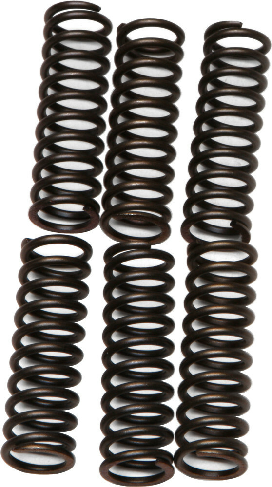 EBC CSK Clutch Spring Kit CSK17