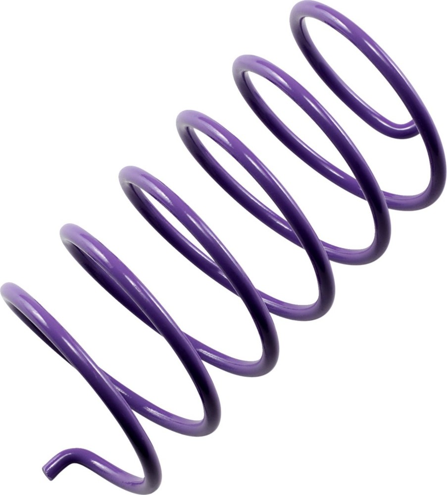 EPI Purple Secondary Clutch Spring (PDS-6)