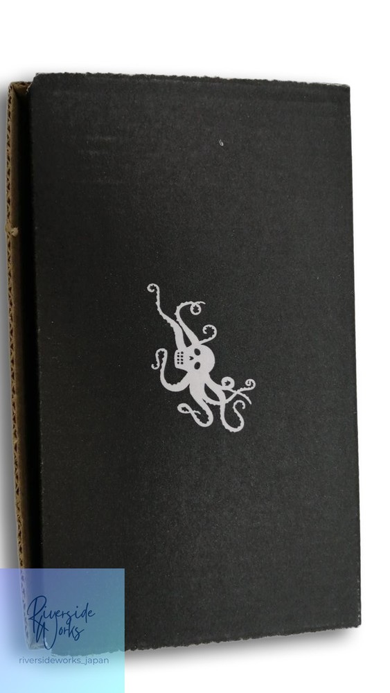 EARTHQUAKER DEVICES DISPATCH MASTER Delay Reverb