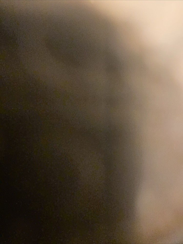 1892 50C Columbian Silver Commemorative