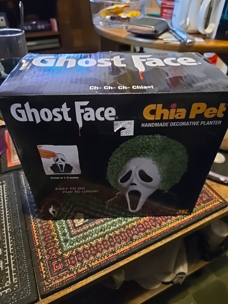 Chia Pet Ghost Face Handmade Decorative Planter, New