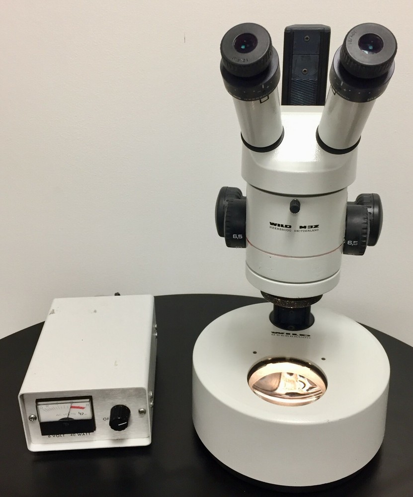 Heerbrugg WILD M3Z Stereo Zoom Microscope w/ Light Source